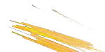 stringer von baoli in amber transparent